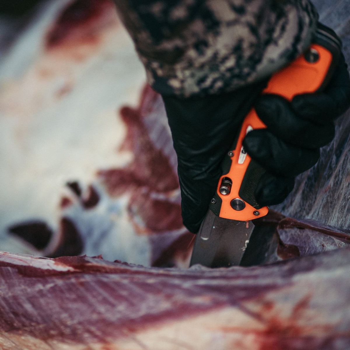 Randy Newberg DTS | Gerber Gear